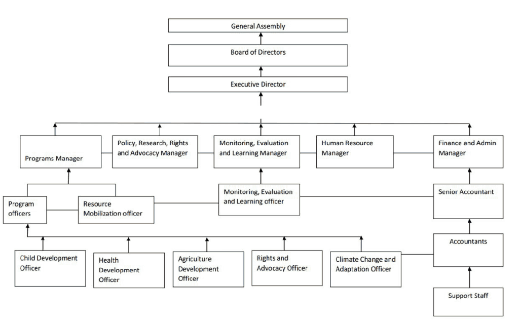 Organizational Structure 